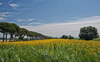 maremma toscana